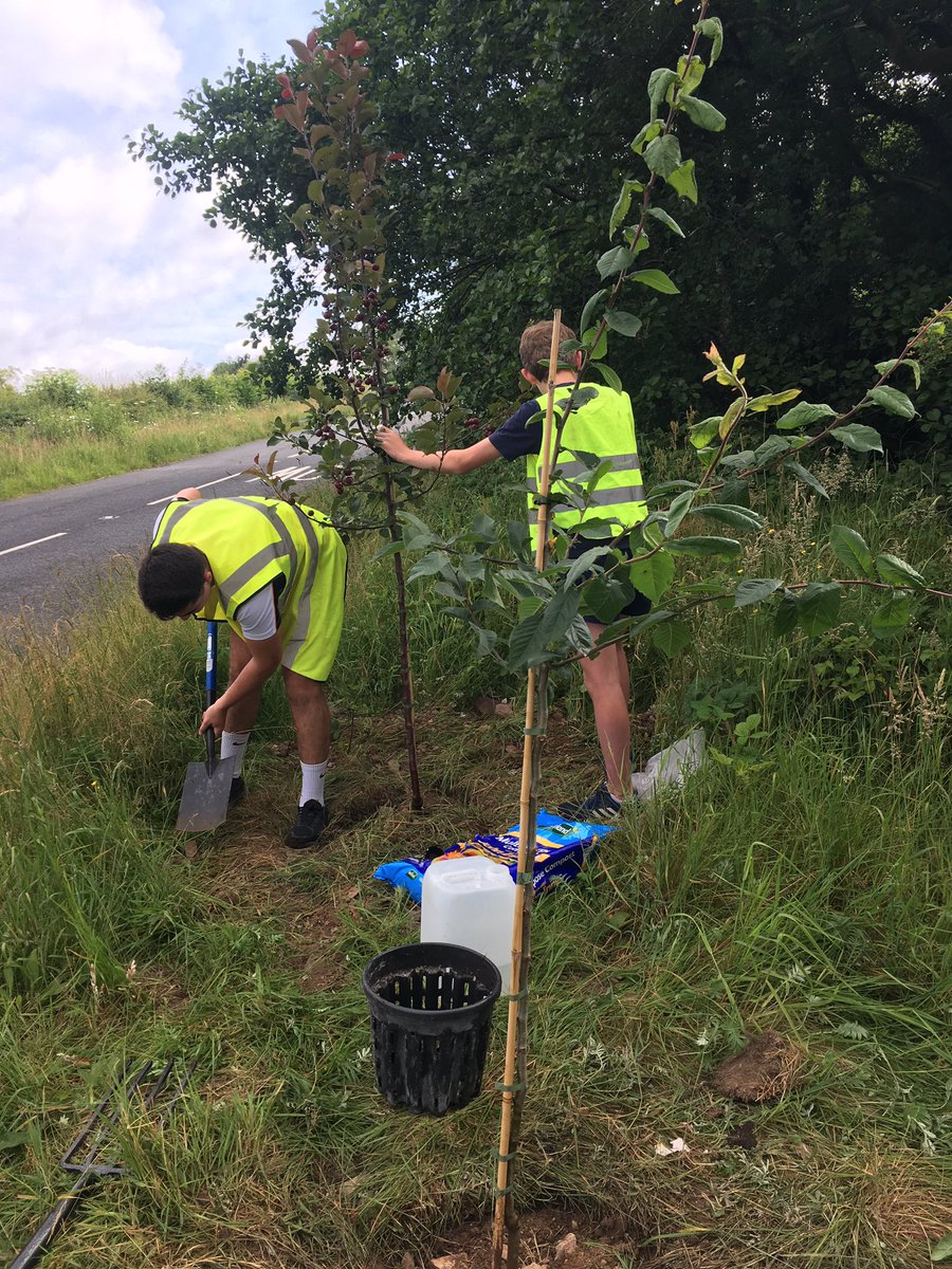 SedberghLecture's tweet image. Day 3 at Cautley Picnic Area and the trees are going in!!! #SedberghChallenge #SedberghGivesBack
