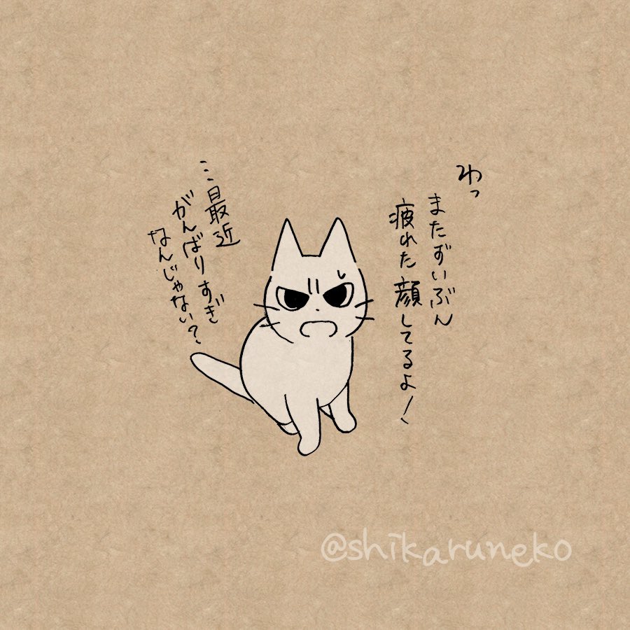 頑張りすぎてしまう人と、しかるねこと、あまやかすねこ 