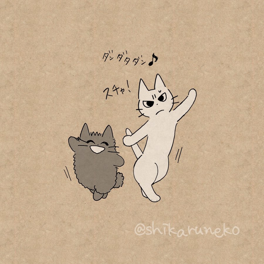 頑張りすぎてしまう人と、しかるねこと、あまやかすねこ 