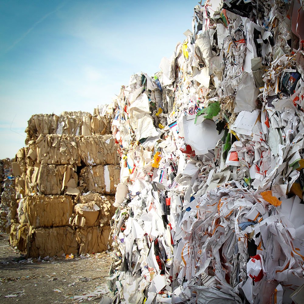 Selwo Marina (selwo_marina) Twitter