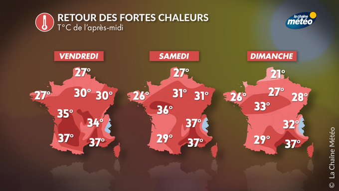 Voir l'image sur Twitter