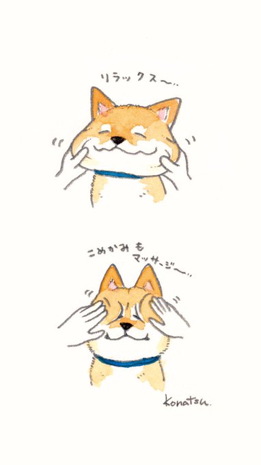 「瞑目 柴犬」のTwitter画像/イラスト(古い順)