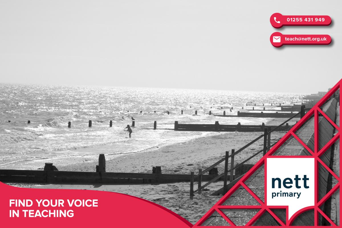 teach_advance's tweet image. Did you know that 96% of newly qualified teachers in the East of England are employed in a #teachingrole six months after qualifying? 

Head over to nett.org.uk/apply/ to find out more and apply for a teaching course with us.

#Teach #Career #GetIntoTeaching #TrainToTeach