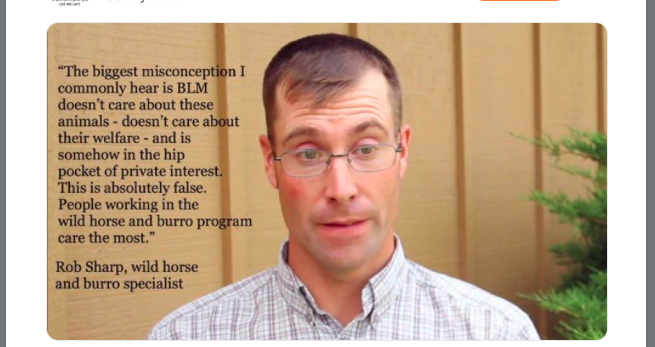 GiveLuckyBack's tweet photo. @ChristyKSweet @Blueequus775 @BLMWHB @BLMOregon Notice the difference between the real #RobSharp the Butcher of the #BLM &amp; his #PublicRelations Face in the picture.   https://t.co/V1LxvT6e9X https://t.co/xO7OSwmuDv