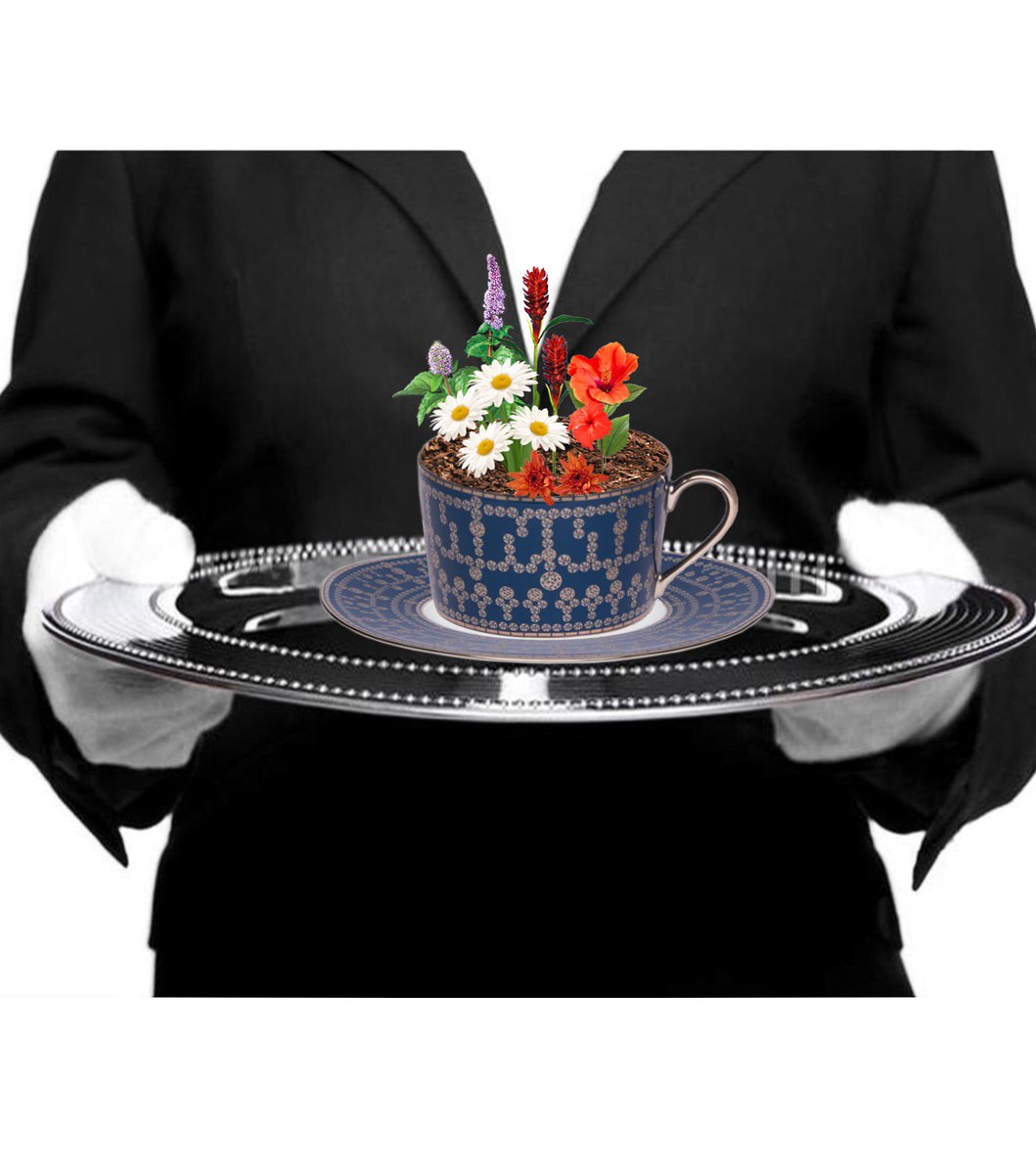 Lotusier tweet media