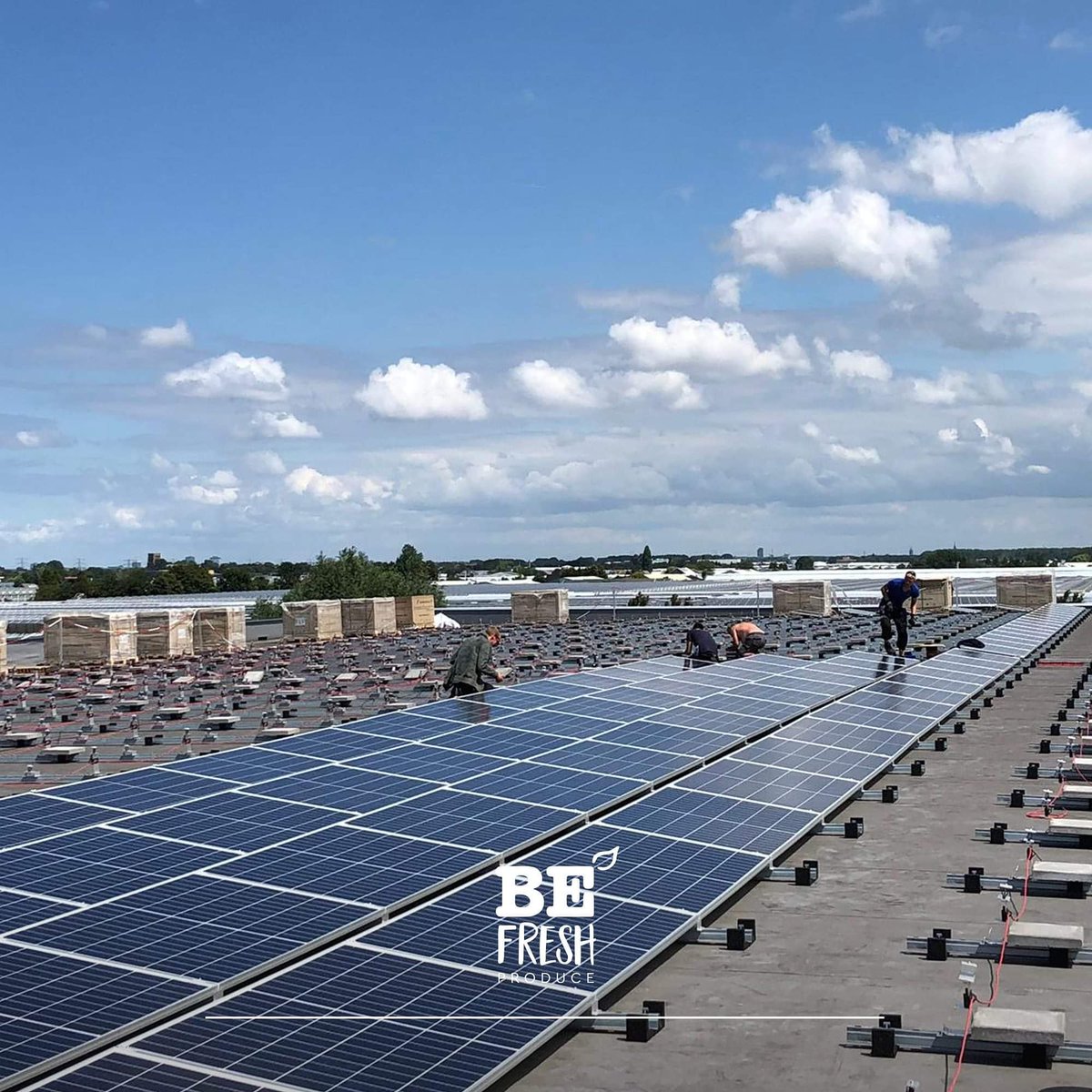 BE Fresh wants to make a positive contribution to a clean, environmentally-friendly and sustainable future. That is why 1,630 solar panels are currently being installed on our roof. Cool view, don't you think?

#cleanenvironment #sustainablefuture #solarpanels #healthyfuture