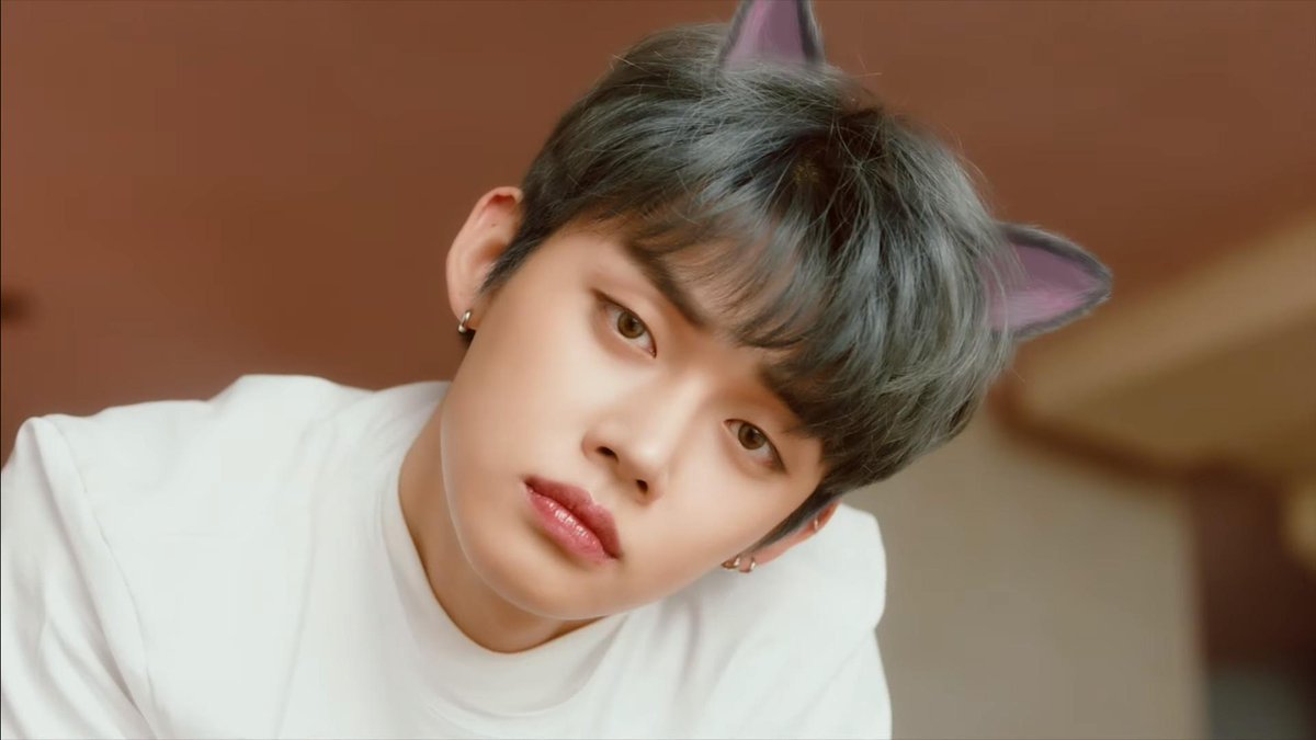 тхт сат и дог. кот и дог учинская. ёнджун cat dog. дога кат. Txt ёнджун cat dog.