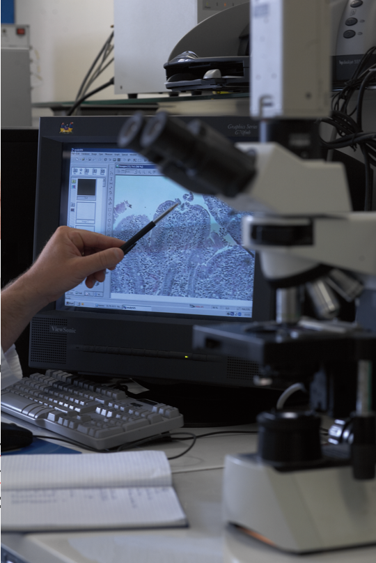 SmartAgriHubs's tweet photo. DIG-Itfarm, coordinated by @Nusciencegroup, aims to reduce antimicrobial use and resistance in pigs and poultry to improve animal health and welfare! Learn more: https://t.co/6CmUYwPb2L 
#sensors #pigs #broilers #prevention #antimicrobialusage #antimicrobialresistance #Flanders https://t.co/Lv2OVOXaI1
