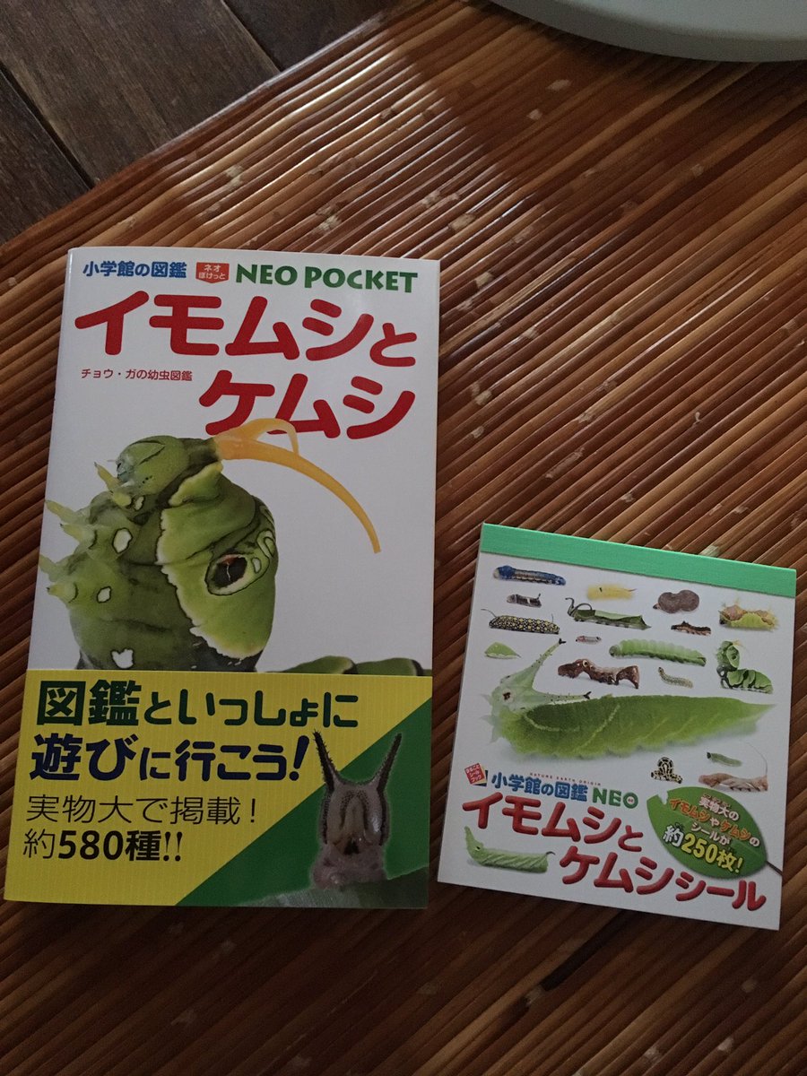 イモムシとケムシ