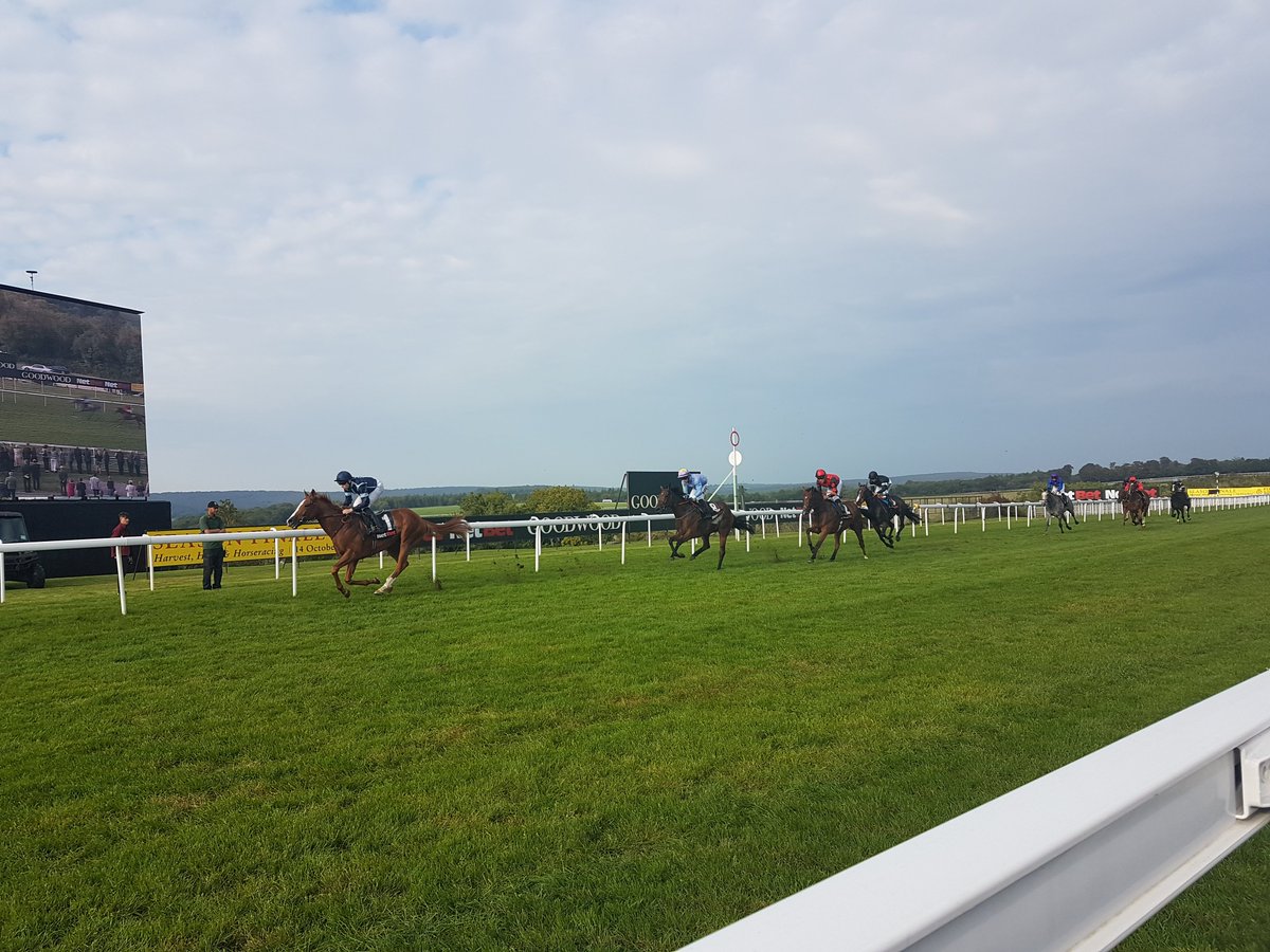 ExpediteOffice's tweet photo. We’re throwing it back for #tbt to some of the team at the Goodwood races last year while we gear up for round 2 this year 🏁🏇⁣
⁣
Team bonding at its finest! https://t.co/zRqSnuFSW5