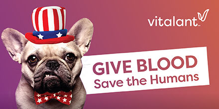 VitalantCA's tweet image. I love July 4th. The parties, the parades....But I didn't put on this get up just for that. I want you to make time for our humans by giving blood this summer! I'd even put a sparkler between my teeth to get you moving! #SaveTheHumans vitalant.org/savethehumans
