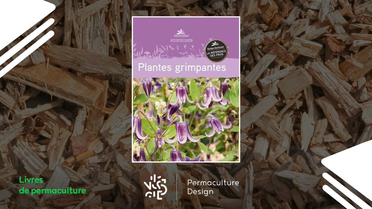 Infopermacultur's tweet photo. Livre Plantes grimpantes Pour lire l’article complet : https://t.co/K0Ftur8PfO https://t.co/QatKdbwlyo