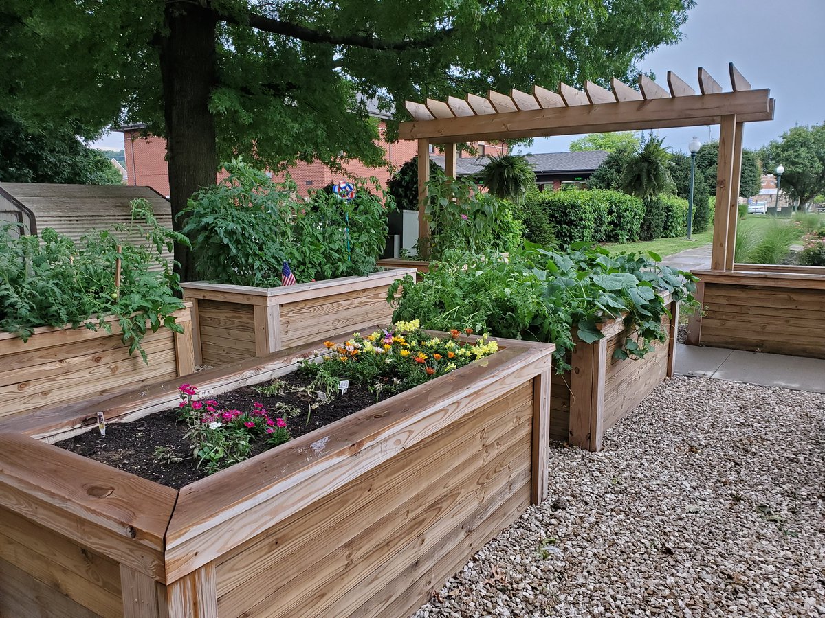 Pam Hawkins tweet media