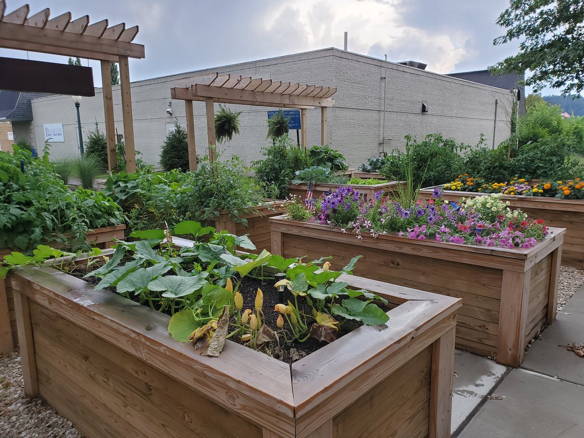 Pam Hawkins tweet media