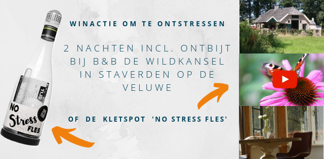 CareGroupNL's tweet photo. Ontstressen. Dat was de rode draad in de #nieuwsbrief die we vandaag naar 1860 adressen verstuurden. Hij staat vol info over #werktress #ontspannen, de top 5 droombanen en een #winactie voor 2 nachten B&amp;B incl. ontbijt in #Staverden. #Happy4thofJuly https://t.co/0VvzBw9r35 https://t.co/rsYrOKhOwq