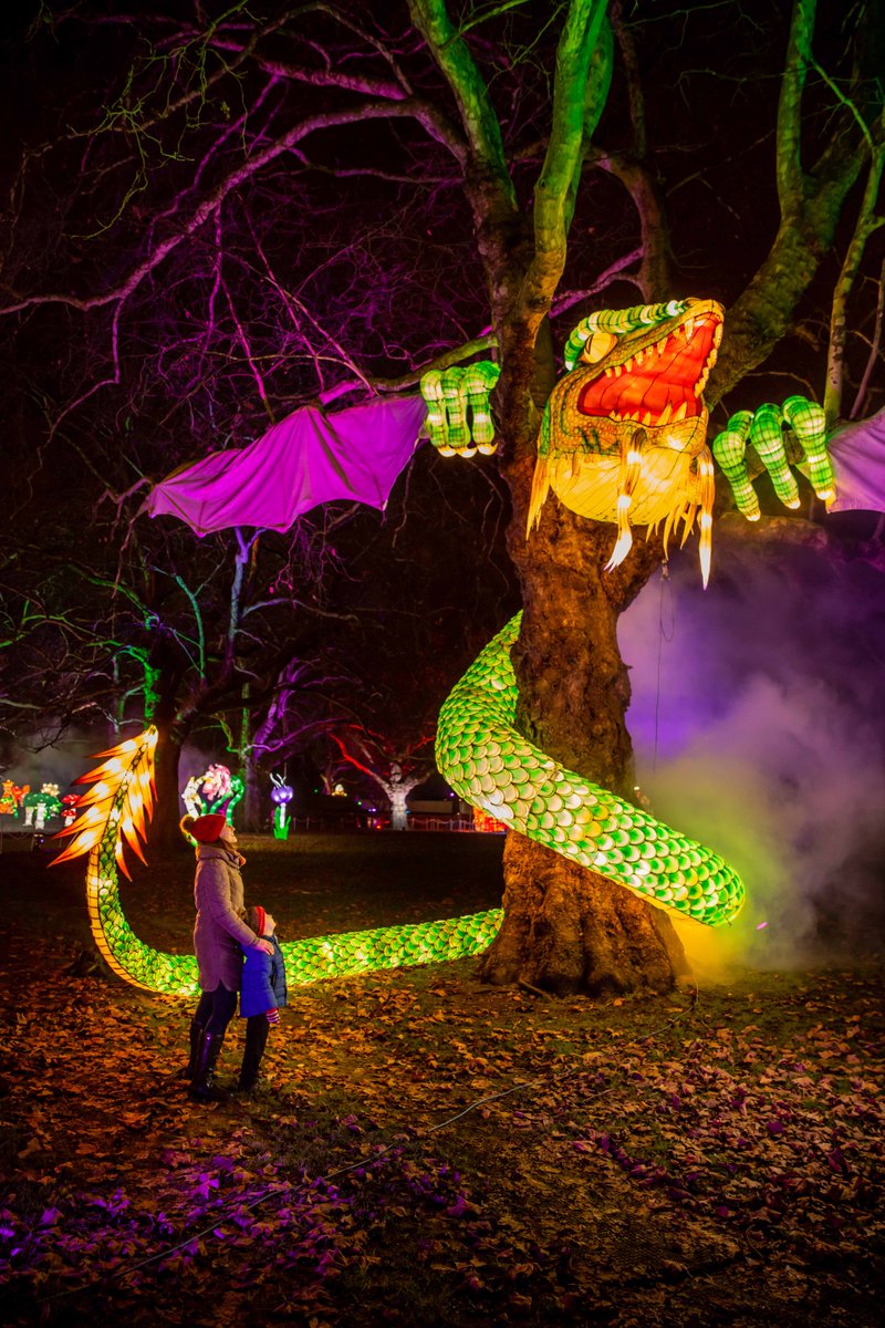 Lightwater Valley Family Adventure Park tweet media