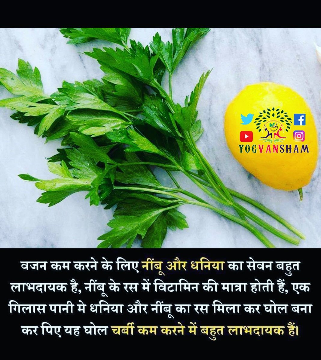 Yogvansham2's tweet photo. #coriander #lemons #lemon #obesity #naturecure #naturalfoods #greenvegitables #naturopathy #health #yoga #foodgasm #food #yogvansham😊🙏 https://t.co/v2VjGf85mp