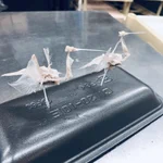 まさに芸術!太刀魚の骨だけで鶴？!