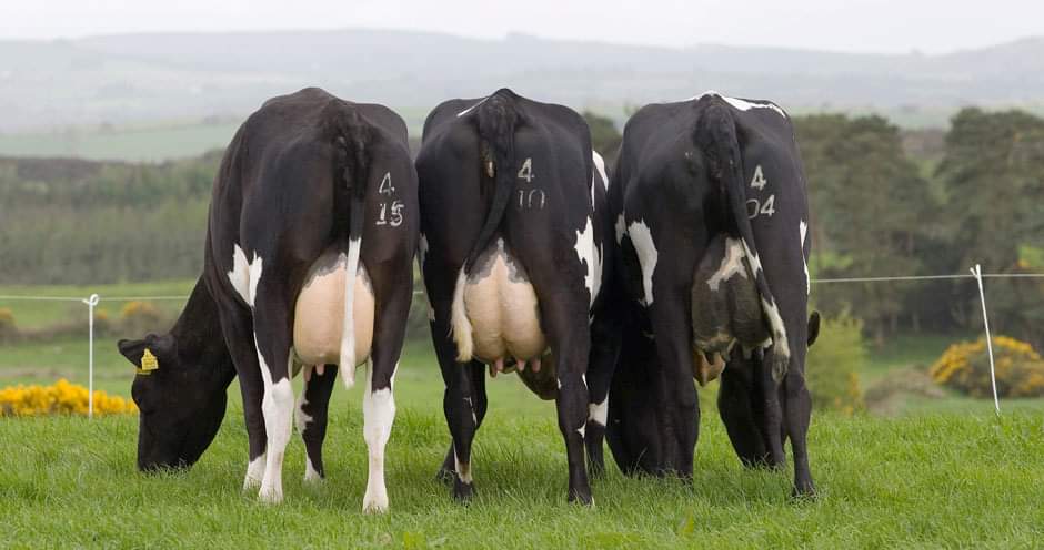 When is 22 litres better than 27 litres? Matching your system to milk price structure;

facebook.com/11614442605735…