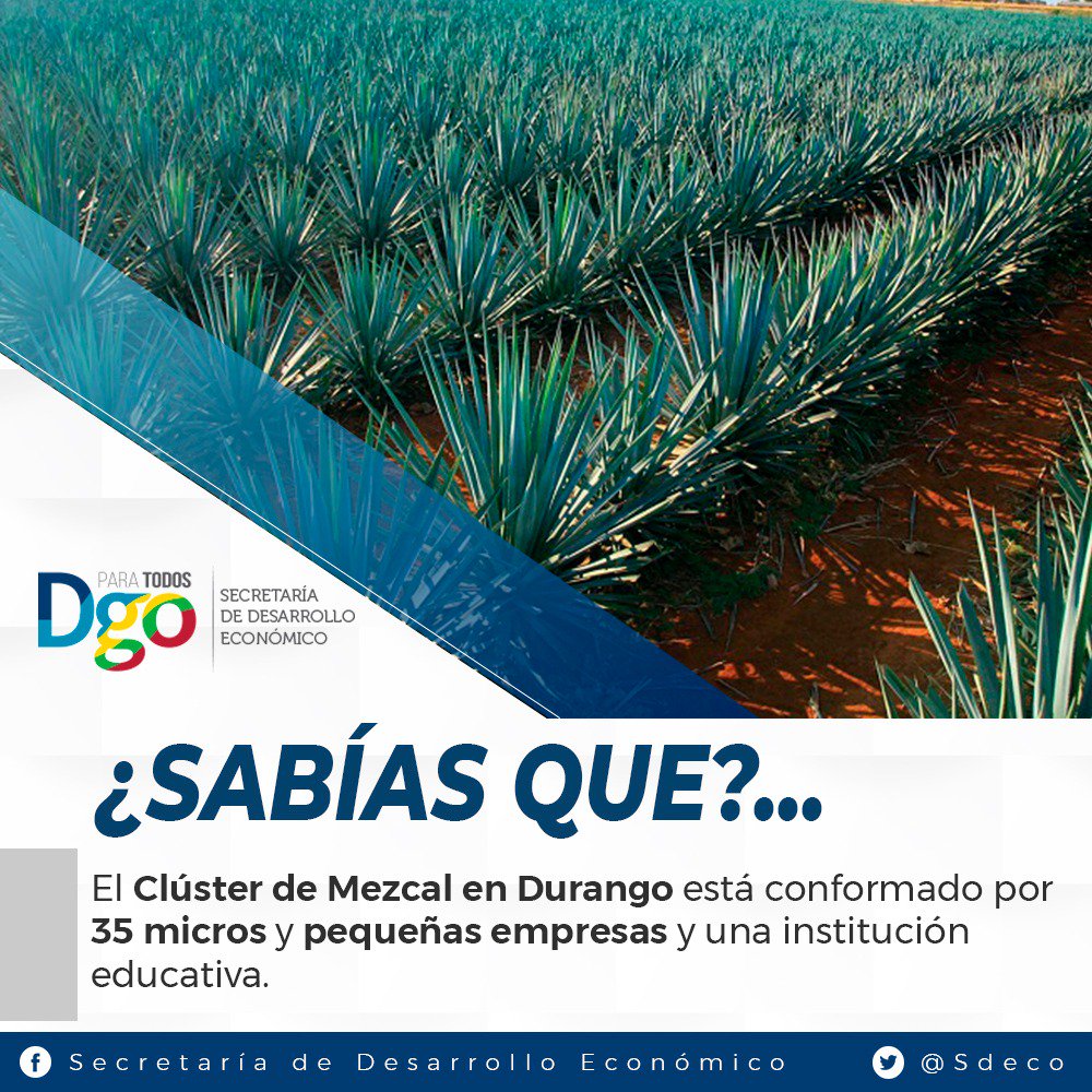 Sedeco Durango auf Twitter: "Sabías que... #Durango cuenta con el  #ClústerDelMezcal con el objetivo de promover el desarrollo, la integración  y la competitividad de la cadena productiva del Mezcal Afíliate al clúster