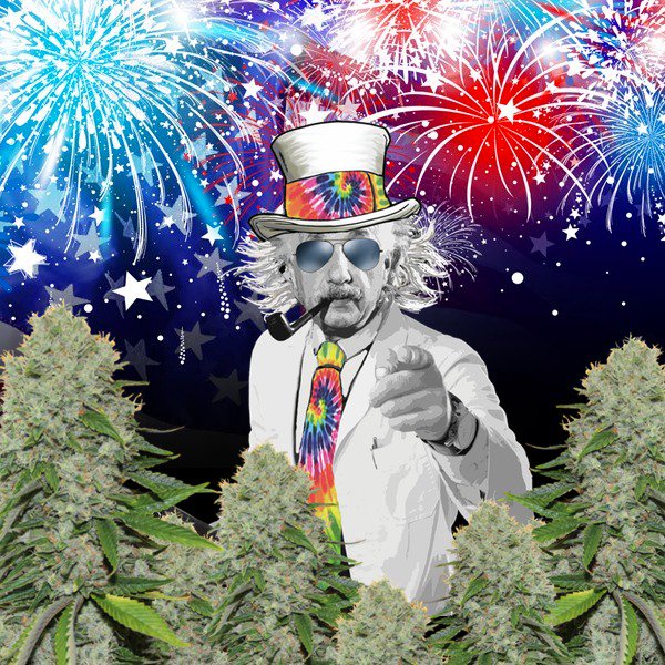 Happy 4th of July from Dakine 420! Party hard, but stay safe out there! #cannabis #cannabiscommunity #cannabisgrowers #cannabisculture #marijuana #marijuanacommunity #marijuanagrower #marijuanagrowers  #hempfertilizer #hempgrowers #hempgrower #hempfarm #hempfarmer #hempfarmers