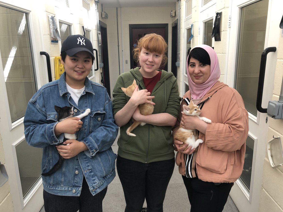 A HUGE thank you to Samah, Amber and Han who helped out the <a href="/RSPCASheffield/">RSPCA Sheffield</a> yesterday!
