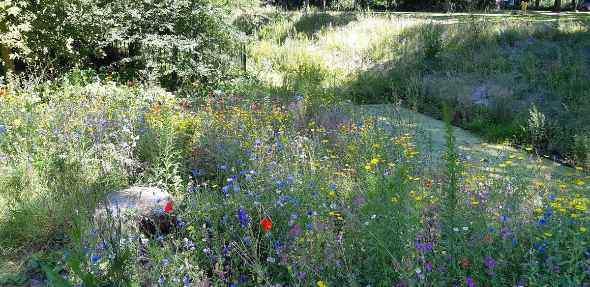 Beelden zeggen meer dan woorden!