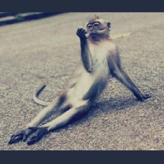 K_Mmoa1's tweet photo. @BlaiseBukasa_ "The will never ever be loadshedding ever again!" https://t.co/QbuFBIV8U4