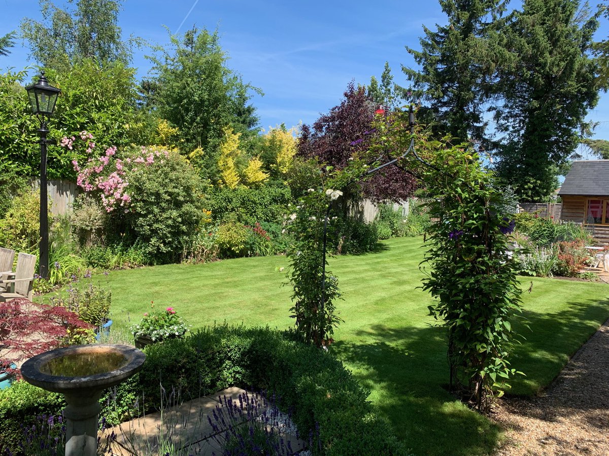 mrgardens's tweet photo. Looking good in the sunshine! #gardening #hayterstripes #gardens #lawncare https://t.co/o93zrZGd14