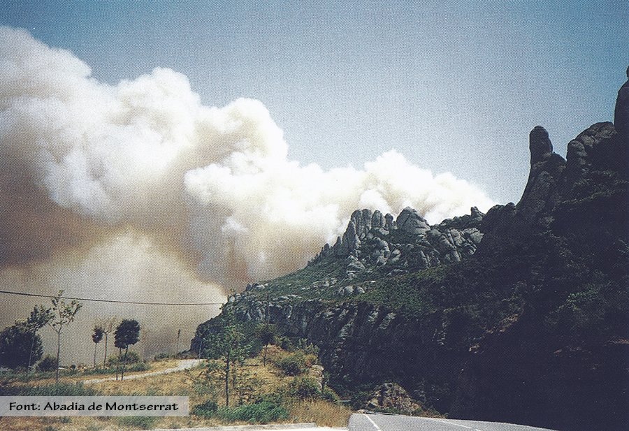 PN Montserrat tweet media