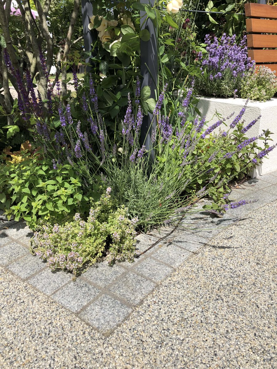 London Stone tweet media