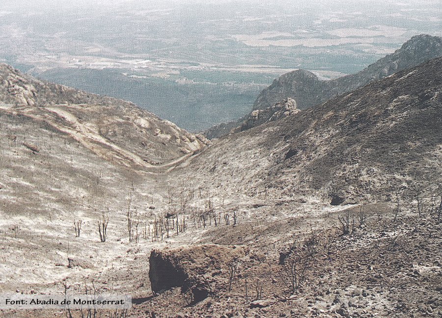 PN Montserrat tweet media