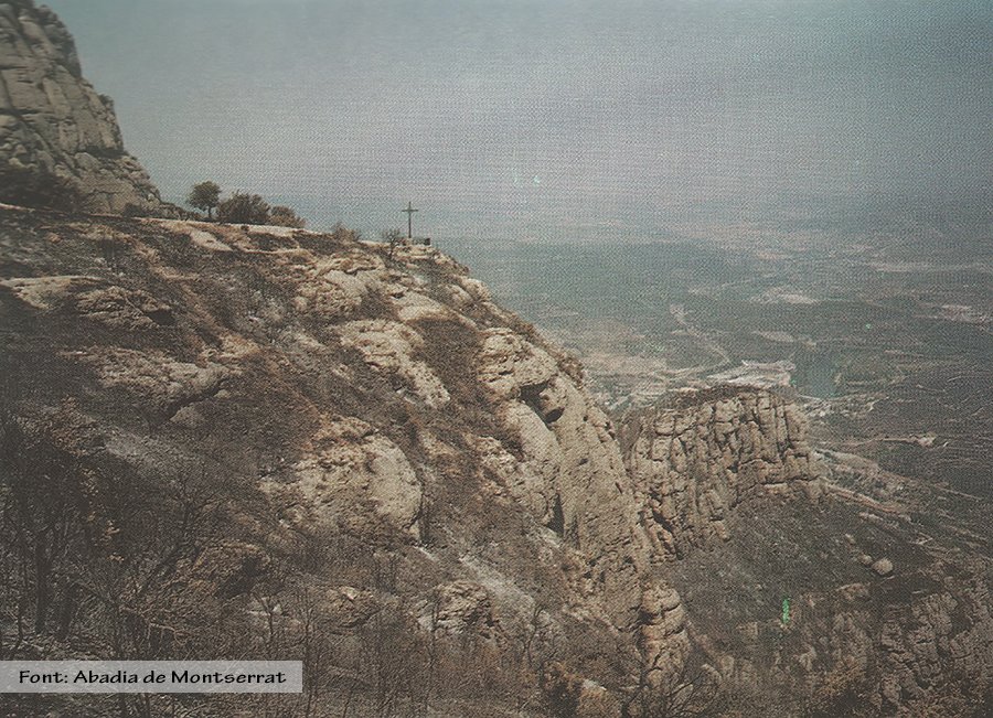 PN Montserrat tweet media