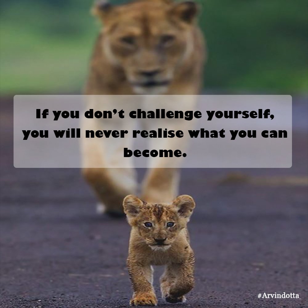 #motivation #challenge #nevergiveup #youcanbecome #youcan #youwill #followyourheart #rule #lion #focus #qoute #qouteoftheday