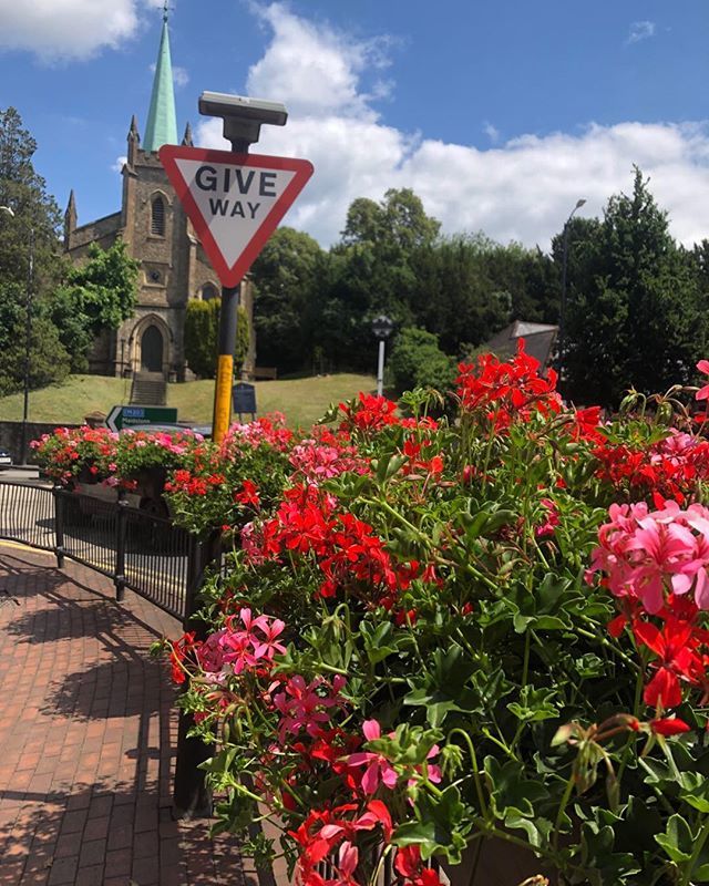 CJSPlants's tweet image. The lovely sunny weather makes our geranium barrier planters look even better#hangingbaskets #barrierplanters#trailinggeraniums#geraniums#greeninglondon ift.tt/2KZ6G1c