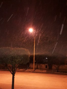 Ver imagen en Twitter