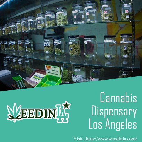weedinla's tweet photo. Are you the one who is suffering from depression then, this blog is for you: https://t.co/0FOB00jH4e. It has been scientifically proved that marijuana is helpful in curing depression, anxiety, etc.

#cannabisoil #MedicalResearch #marijuananews https://t.co/FZyN0u1fja