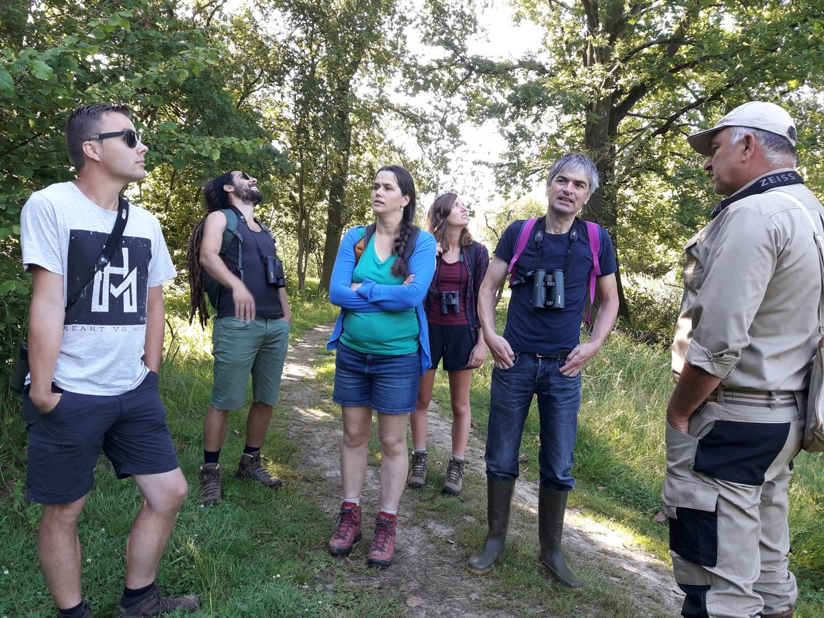 Mieco_effect's tweet photo. Teambuilding in de zegge te Geel. https://t.co/Kg7kRzrNwK
