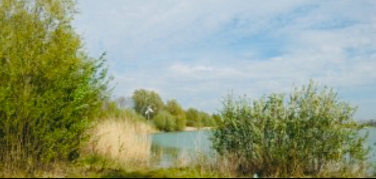 Natuurwandelingen Bommelerwaard,
7, 14, 21, 28 juli;

Zondag 7 juli. 
Breemwaard Zuilichem: start 8.00 uur te Zuilichem. Aanmelden niet nodig, er zijn geen maximum aantal deelnemers en er zijn geen kosten aan verbonden.

natuurwachtbommelerwaard.nl