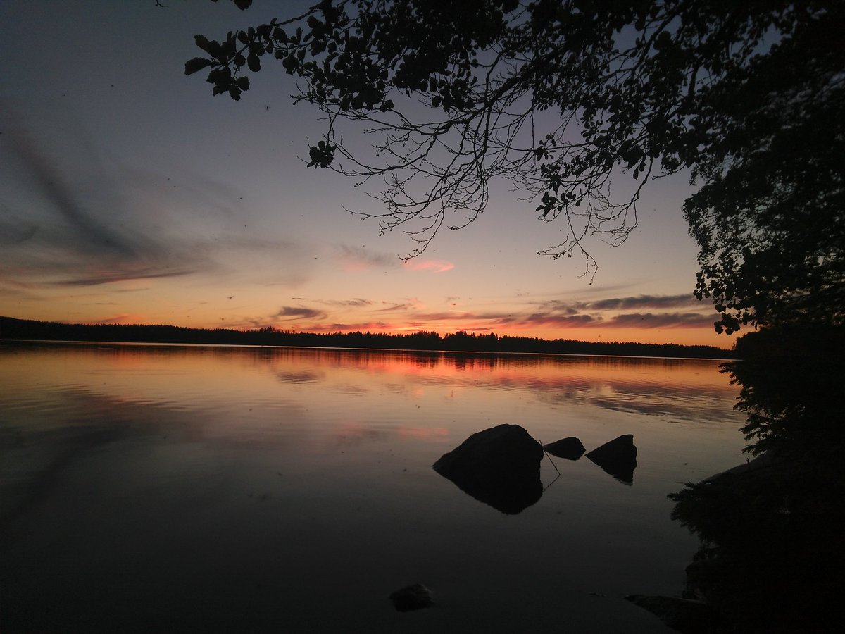 Ilonka Marselis tweet media