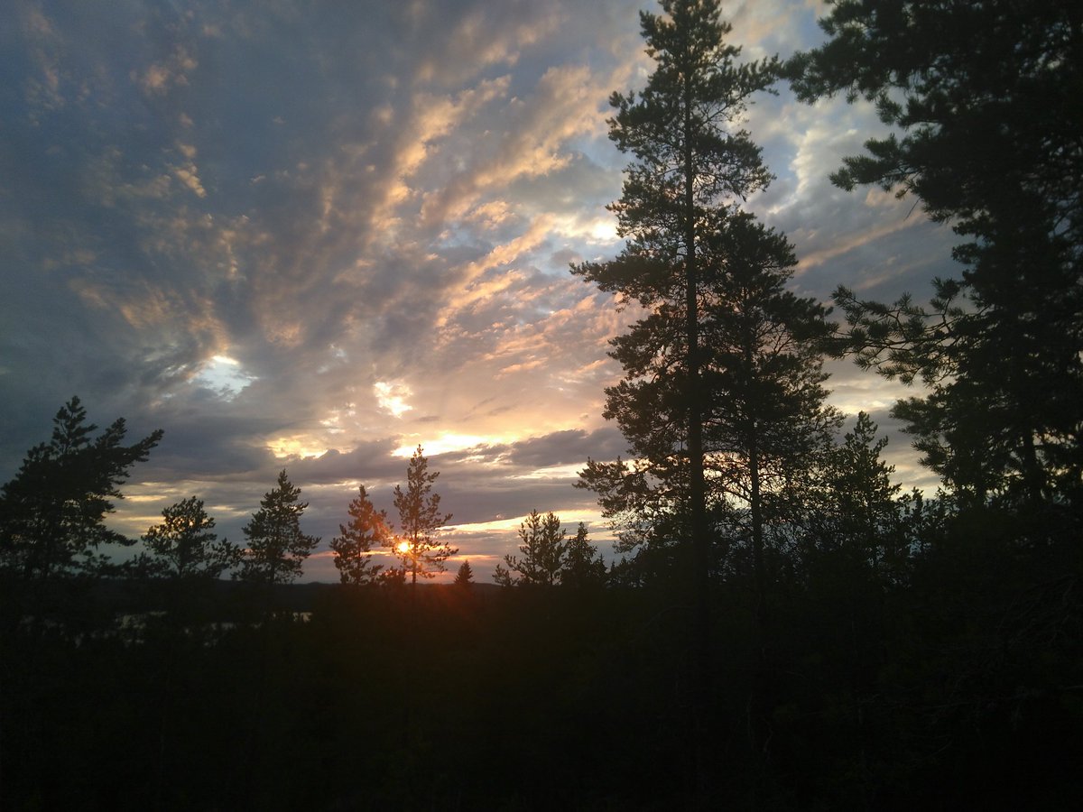 Ilonka Marselis tweet media