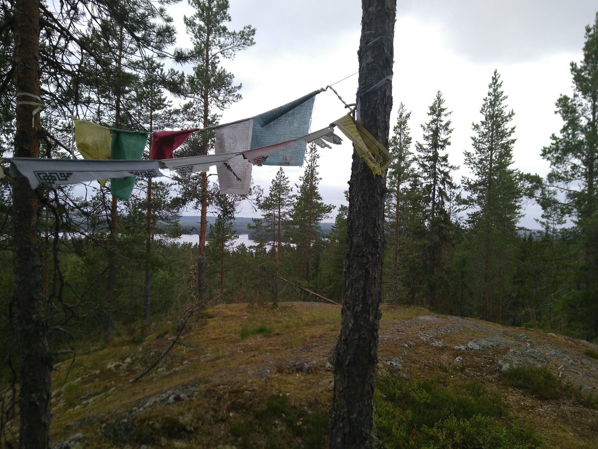 Ilonka Marselis tweet media