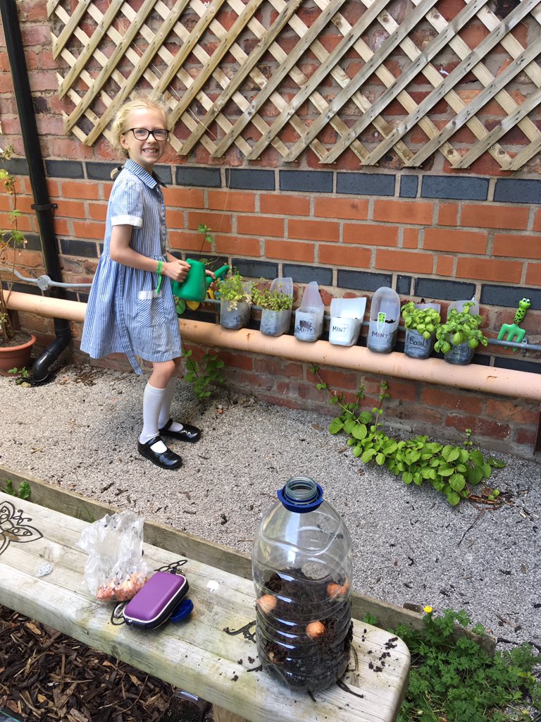 ladybarnhouse's tweet photo. Thanks to Emma, our herbs have survived the recent hot weather! #LBHSmagic #eco https://t.co/VXp8WamSCQ