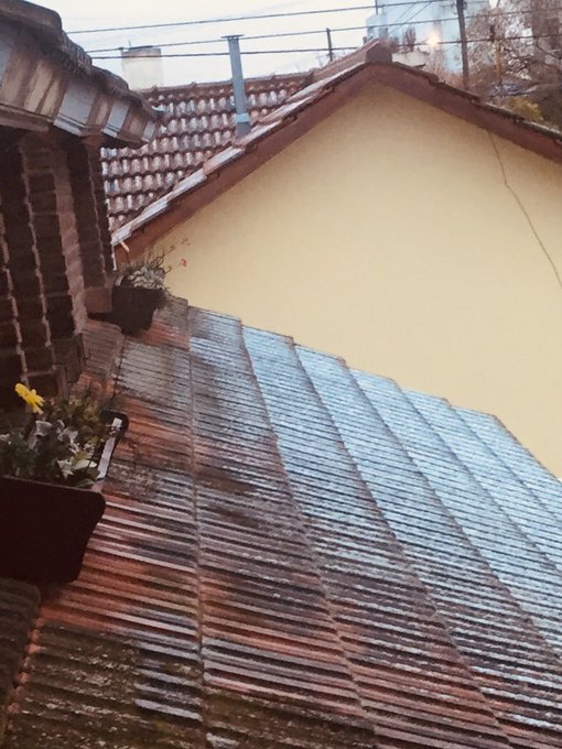 Ver imagen en Twitter