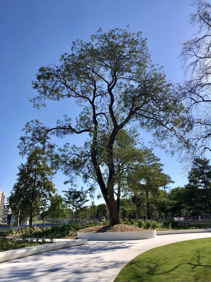ReimsGoodNews's tweet image. 🌳🌼🌲 Square Colbert 🌲🌼🌳
Dès demain les rémois pourront de nouveau profiter de ce lieu de #nature en centre-ville de #Reims
Quelques chiffres:
- 10 386 m2 de gazon.
- 93 arbres.
- 74 500 plantes vivaces et bulbes à fleurs.
Et un grand banc blanc circulaire pour se poser 😊