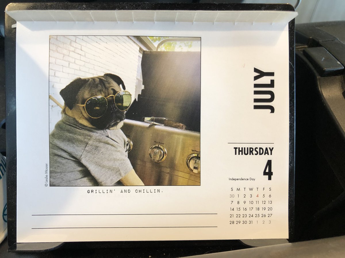 Happy 4th, furriends. 🇺🇸