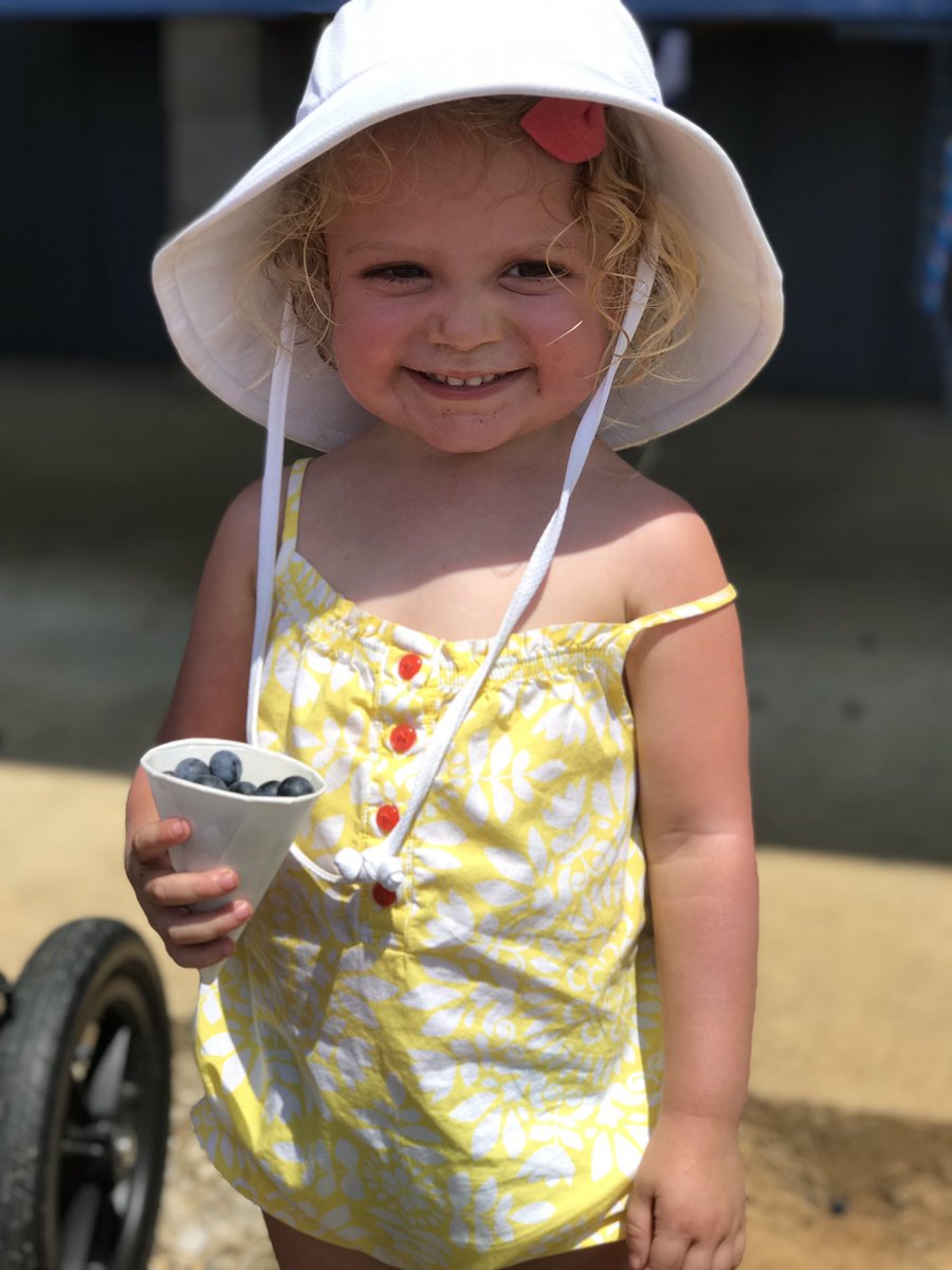 nesbitberry's tweet photo. Open for the fourth!! Come celebrate by picking blueberries! Gates close at 11, field at noon. #seeyouatthefarm 🇱🇷 https://t.co/cYJbdNSdPv