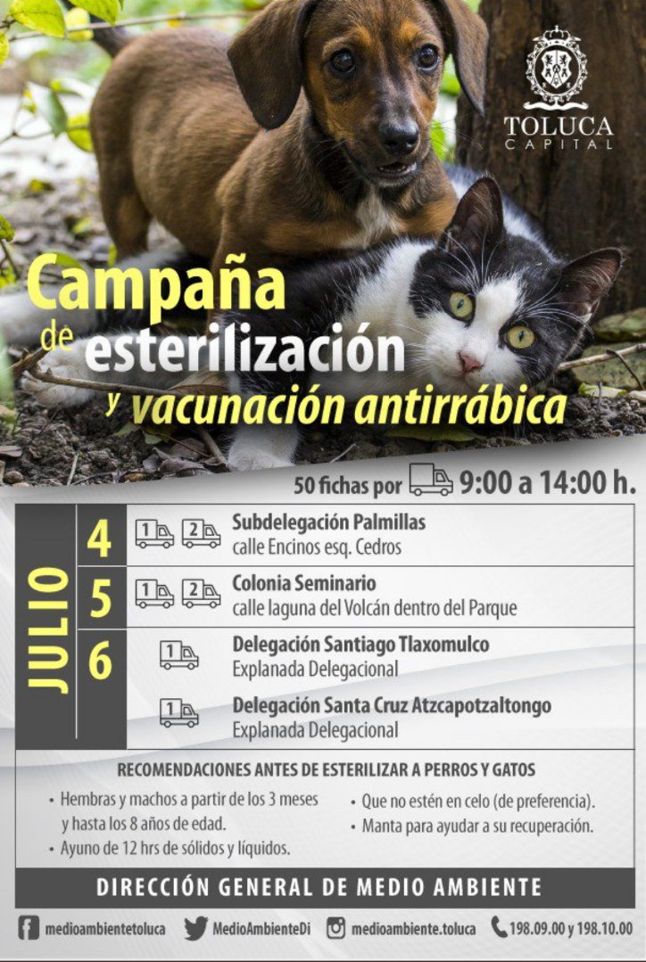#Toluca #Zinacantepec #Metepec Campaña de #Esterilización Gratuita 🐕🐈 #5deJunio 💯cirugías Parque de la Col. el Seminario, #6deJunio 2 sedes Santiago Tlaxomulco y Santa Cruz Atzcapotaltongo <a href="/TolucaGob/">Ayuntamiento de Toluca</a>