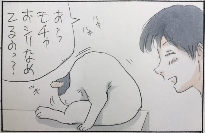 『ふいうち』 