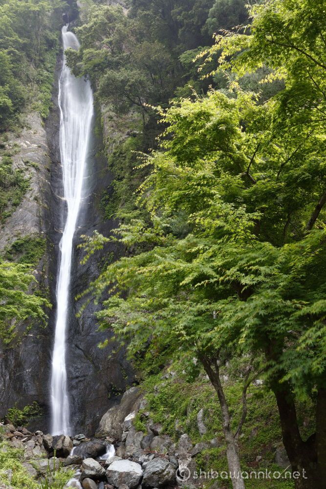見神の滝